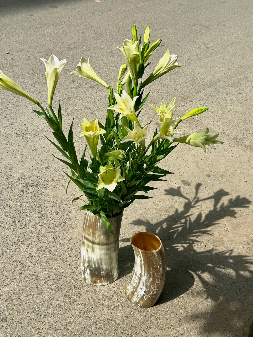 Natural Buffalo Horn Vase Set – Handmade Organic Flower Vase, Rustic Home Decor, Minimalist Boho Vase, Sustainable Gift Idea