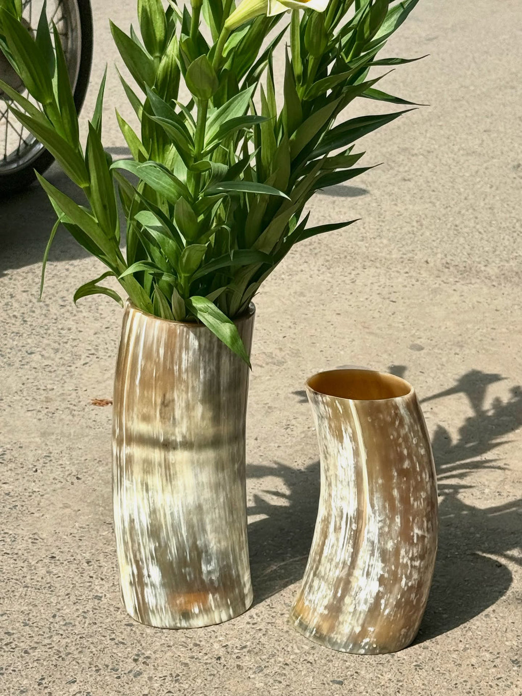 Natural Buffalo Horn Vase Set – Handmade Organic Flower Vase, Rustic Home Decor, Minimalist Boho Vase, Sustainable Gift Idea